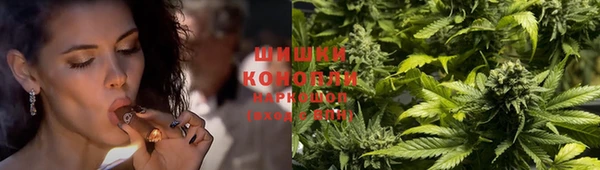 МДПВ Гатчина