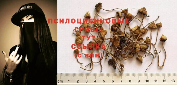 кокаин VHQ Белокуриха