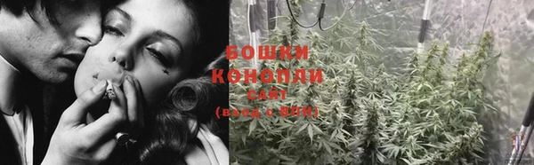 Альфа ПВП Гвардейск