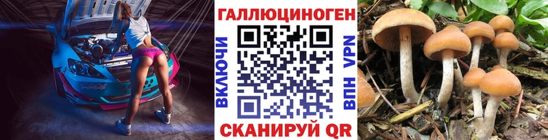 Галлюциногенные грибы Magic Shrooms  Рудня 